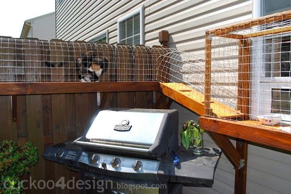 DIY outdoor cat enclosures