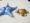 Blue sea star, gold turtle