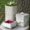 Diy concrete planters and containers