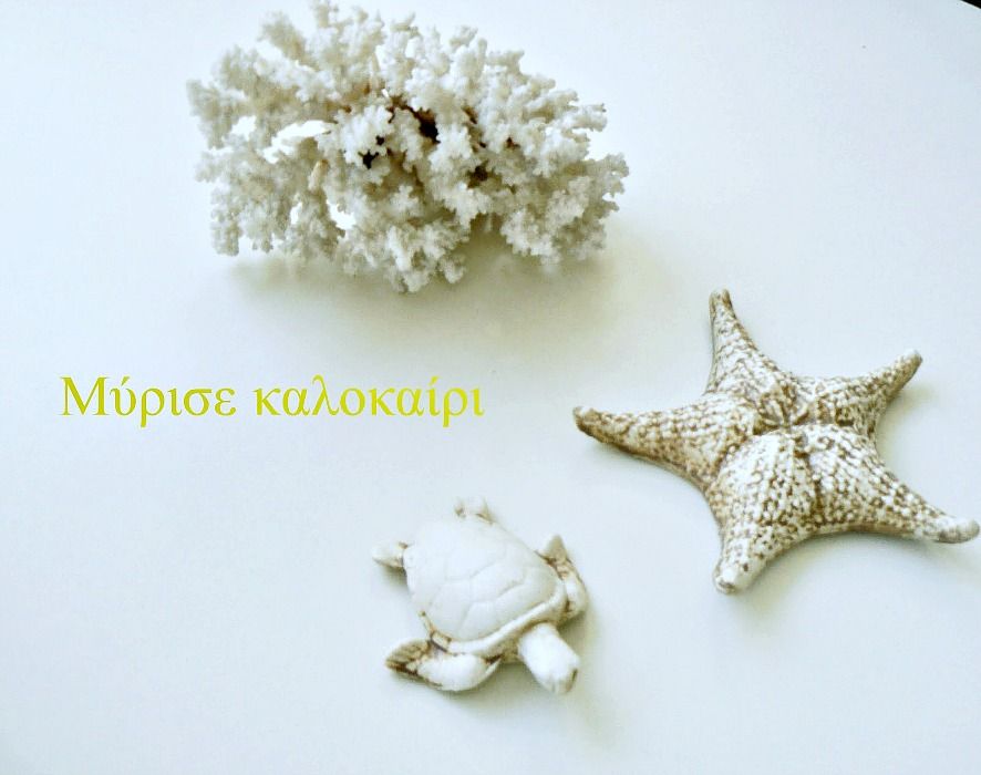 Sea shells, summer decoration ideas