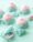 Pink and mint sweets bites