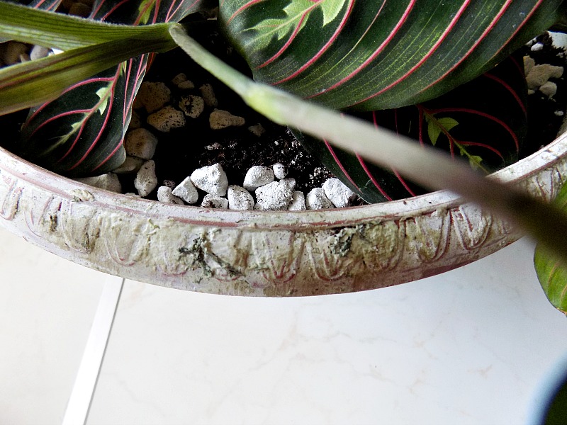 Μια καινούργια γλάστρα γίνεται παλιά, Faux aged plastic flower pot