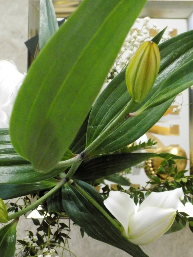 Green leaves and flowers, Nine tips to transition holiday decor to winter