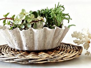 DIY κασπό αχιβάδα για παχύφυτα