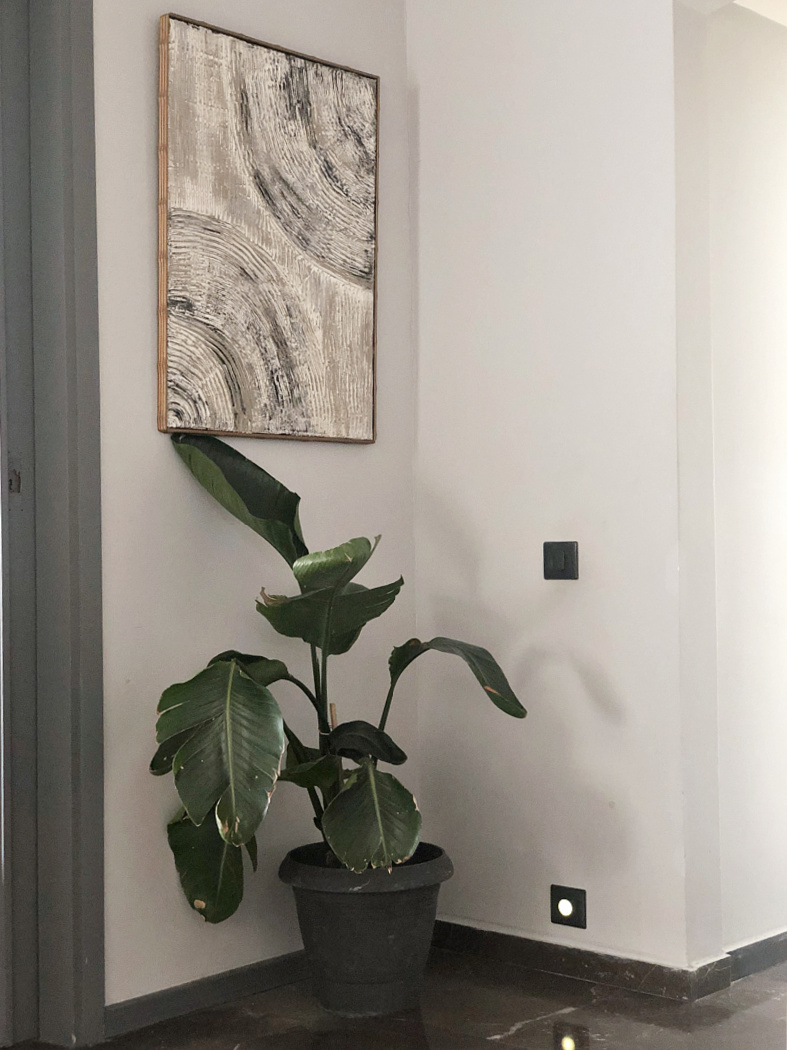 Διακόσμηση εισόδου, μοντέρνος πίνακας, φυτό εσωτερικού χώρου