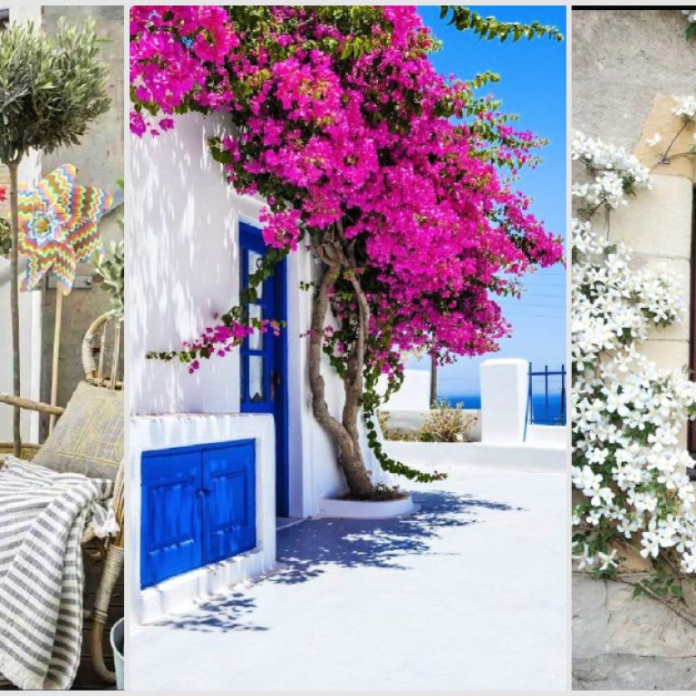 12 καλοκαιρινά λουλούδια με χρώμα για το μπαλκόνι