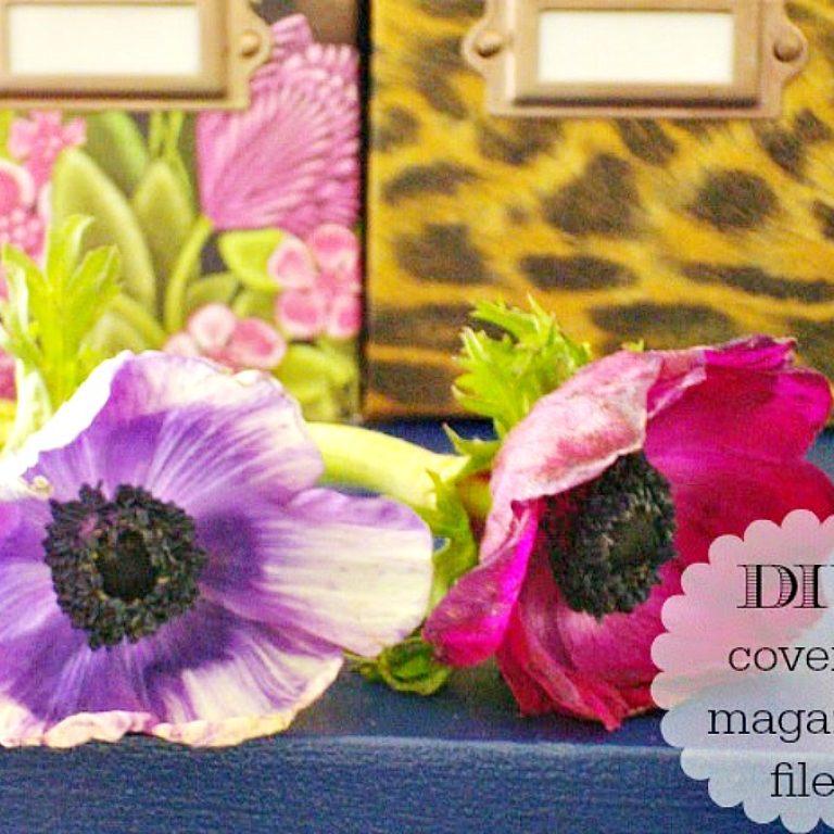 Θήκες περιοδικών με χρώμα