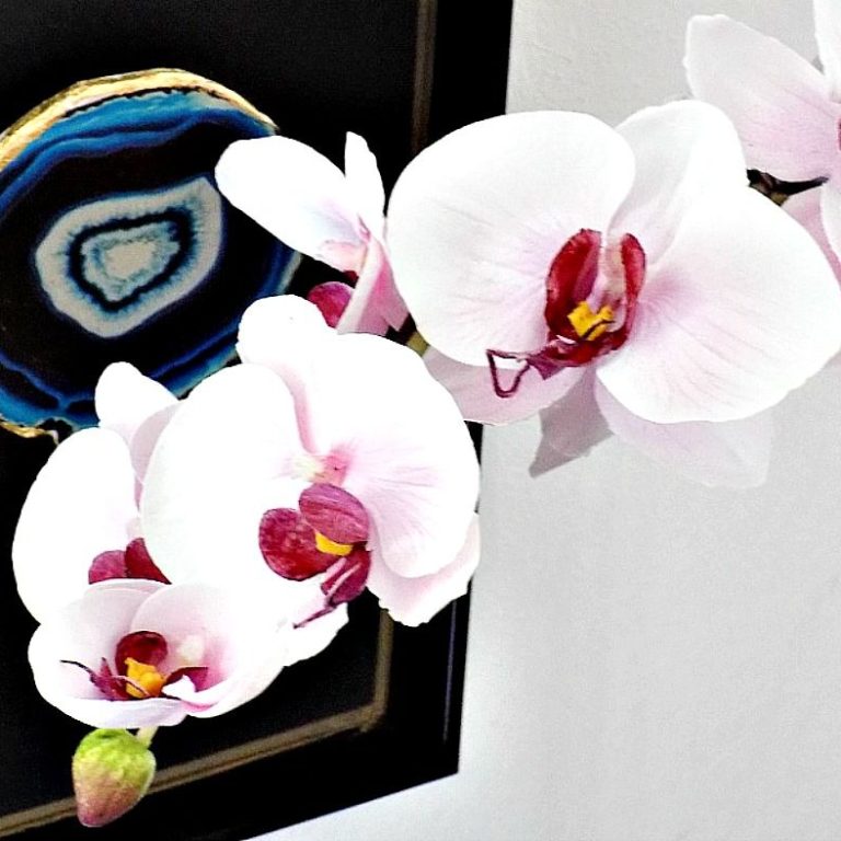 Pos na kanoume pseftikes orxidees na moiazoun alithines