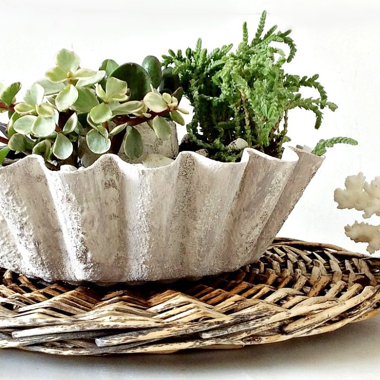 DIY κασπό αχιβάδα για παχύφυτα