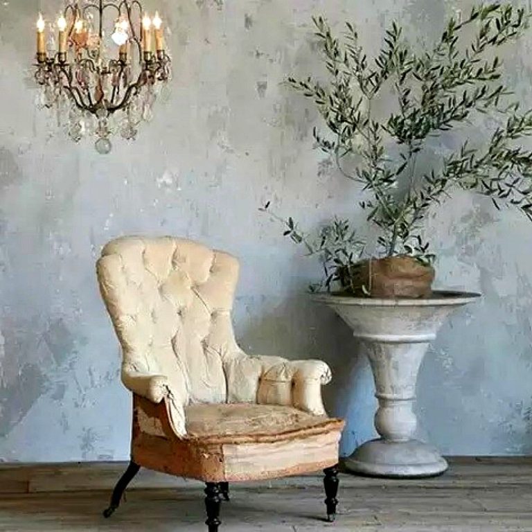 Ελιά εσωτερικού χώρου, πως να την εντάξεις στην διακόσμηση σου