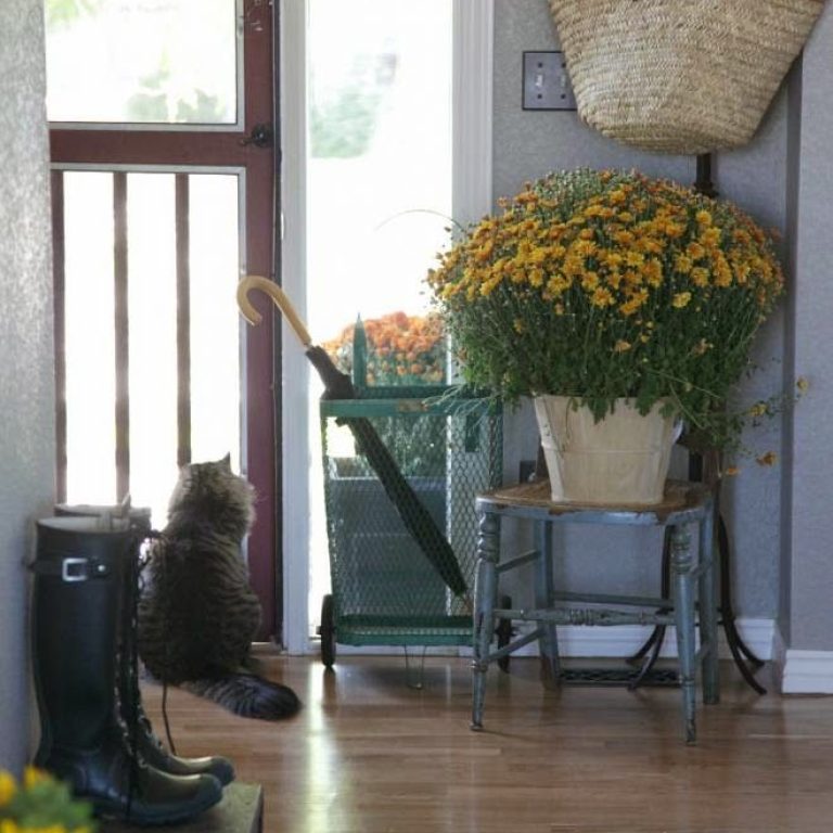 frontentry_8906_zps48ba51df