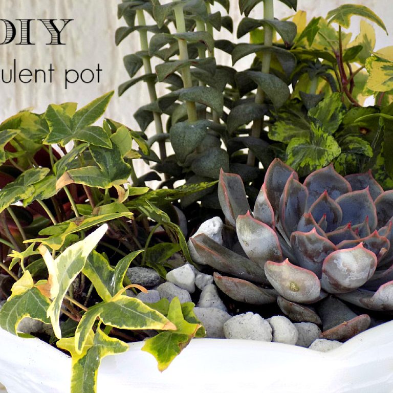 Μίνι κήπος με παχύφυτα σε milk glass φρουτιέρα